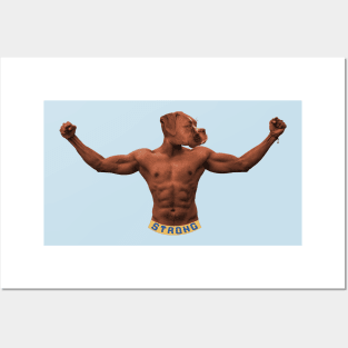 Boxer Bodybuilder Posters and Art